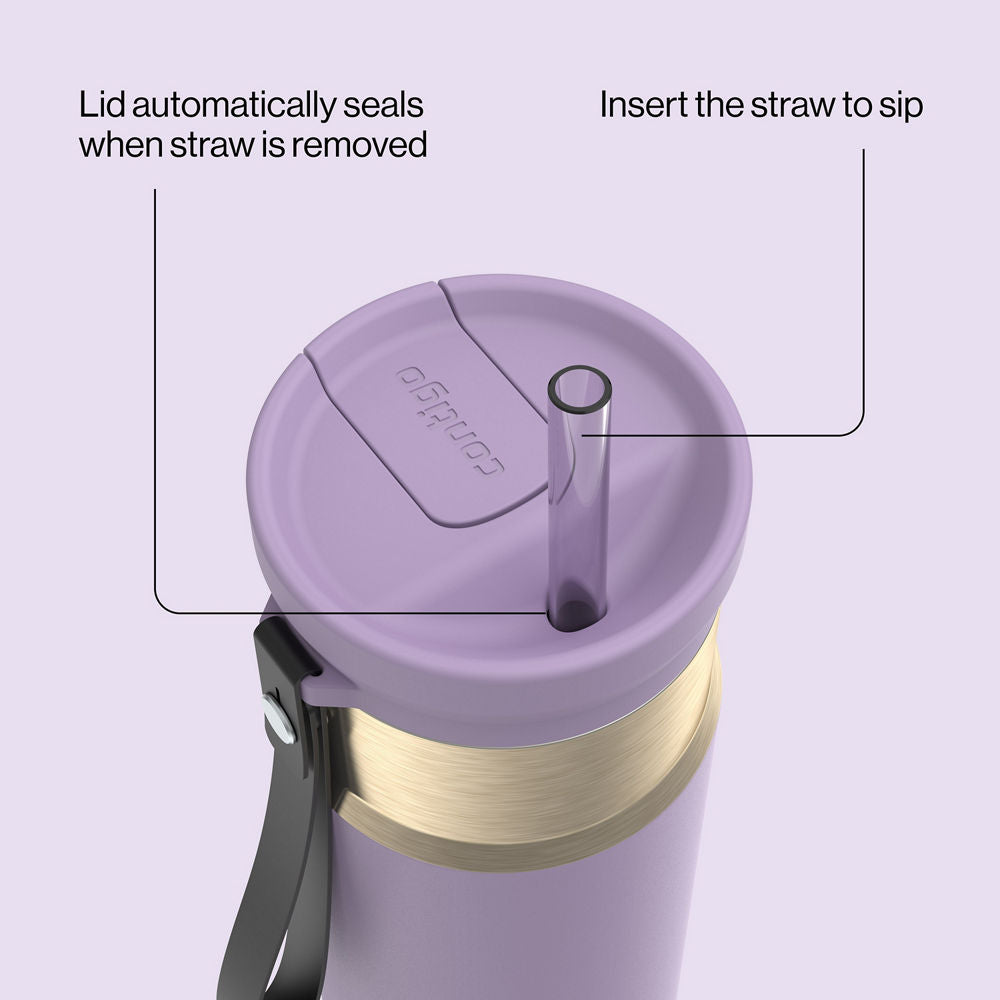 24oz-snapsealtm-bottle-c7 bevt0009_contigo_2231080_snapseal_24oz_straw_purplecarrot_atf4
